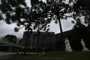 Audiência pública debate o manejo de Araucárias no Paraná