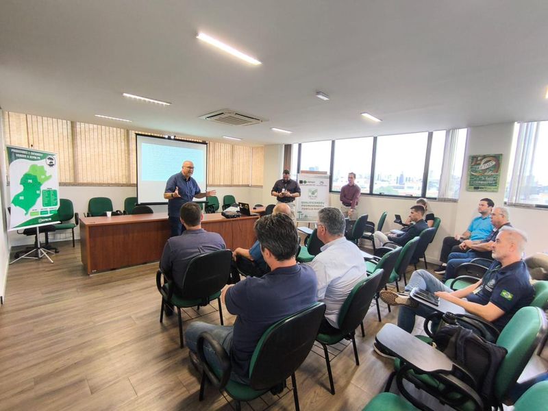 roma porco moura reuniao