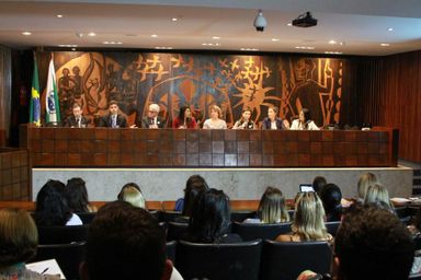 Audiência pública debate realidade das mulheres privadas de liberdade e das egressas do sistema penal