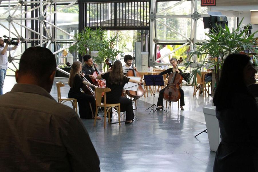quinteto de cordas 1