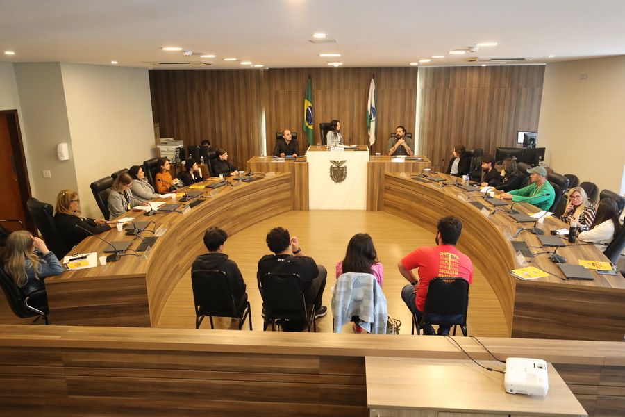 seminario saude mental dia 4