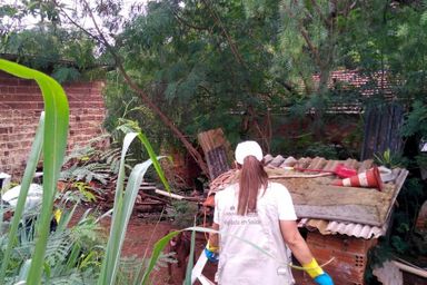Governo sanciona projeto que estabelece medidas de combate à dengue