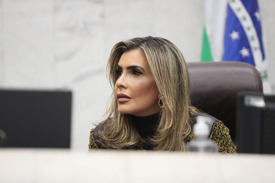 flavia aud pub feminicidio