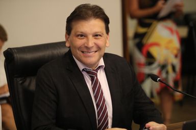 Deputados estreantes assumem com  protagonismo  o processo  legislativo