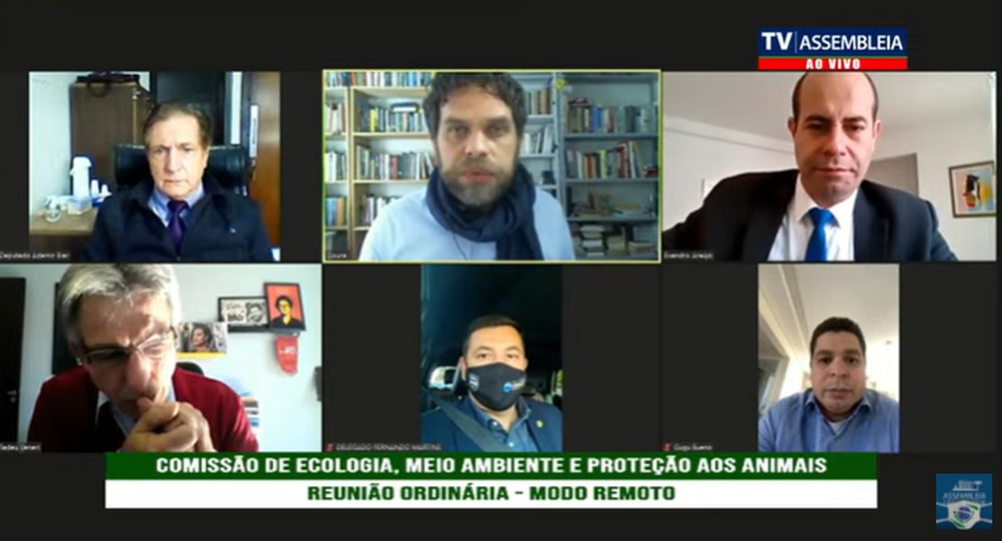 comissão ecologia