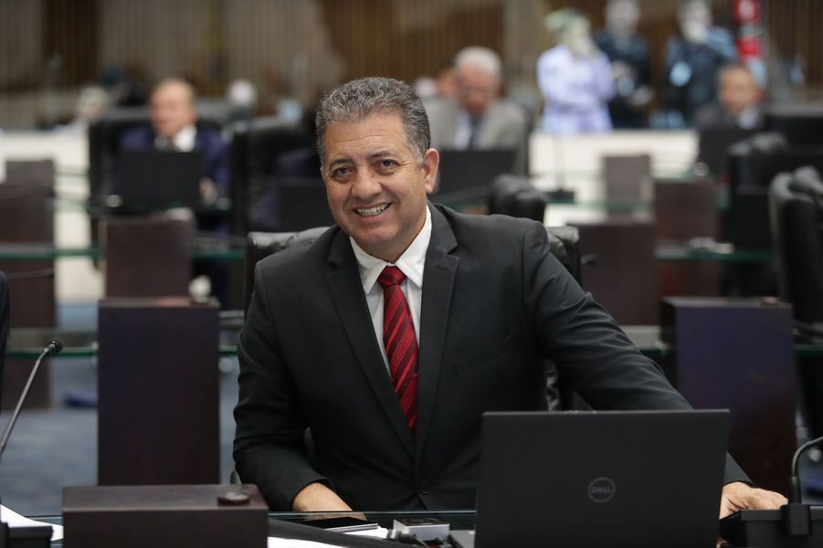 cobraagostocinza