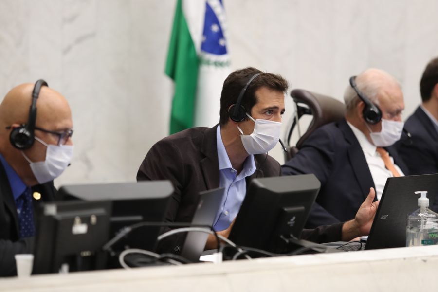 feder assembleia