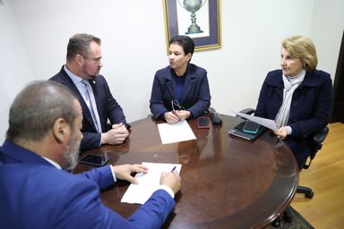 Deputada Marli (SD) preside reunião da Comissão de Relações Federadas e Assuntos Metropolitanos