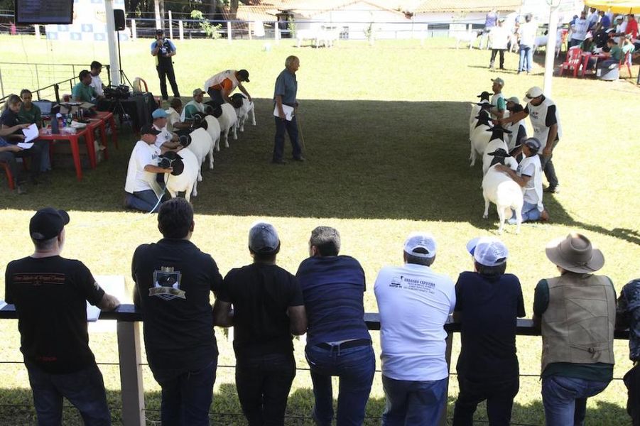 TV Assembleia na feira
