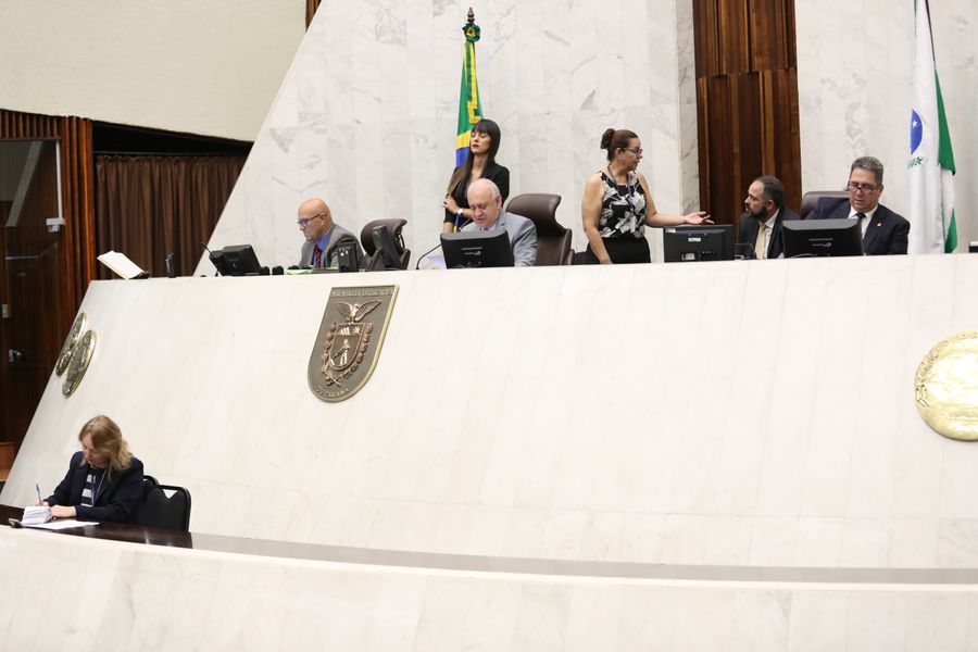 sessão plenária 110320