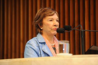 Assembleia Legislativa presta homenagem à Casa Latino-Americana