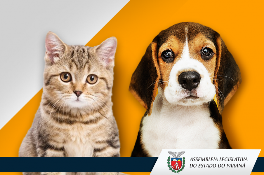 ccj animais