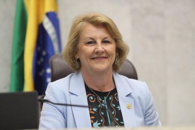 Por proposição da deputada Márcia Huçulak (PSD), prefeito Rafael Greca fala sobre Paranismo na Assembleia
