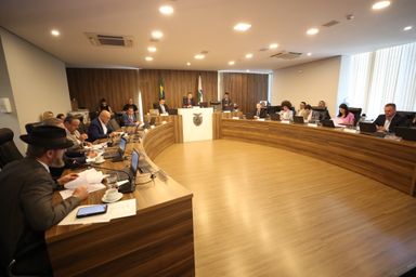 CCJ aprova projeto que reduz custos da CNH e medidas voltadas à segurança pública no Paraná
