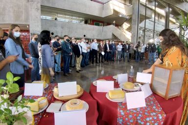 Paraná agora tem Rota do Queijo
