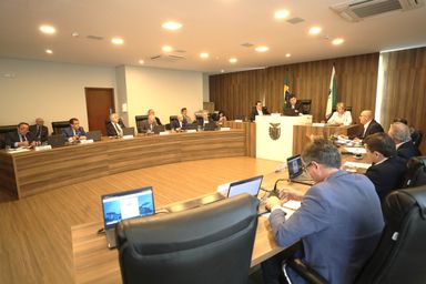 Assembleia debate com setor produtivo a desestatização da Ferroeste