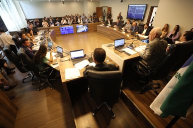 CCJ retoma atividades com aprovação de propostas sobre violência doméstica e análise de matérias administrativas