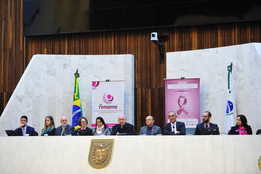 Audiência Pública - Câncer de mama