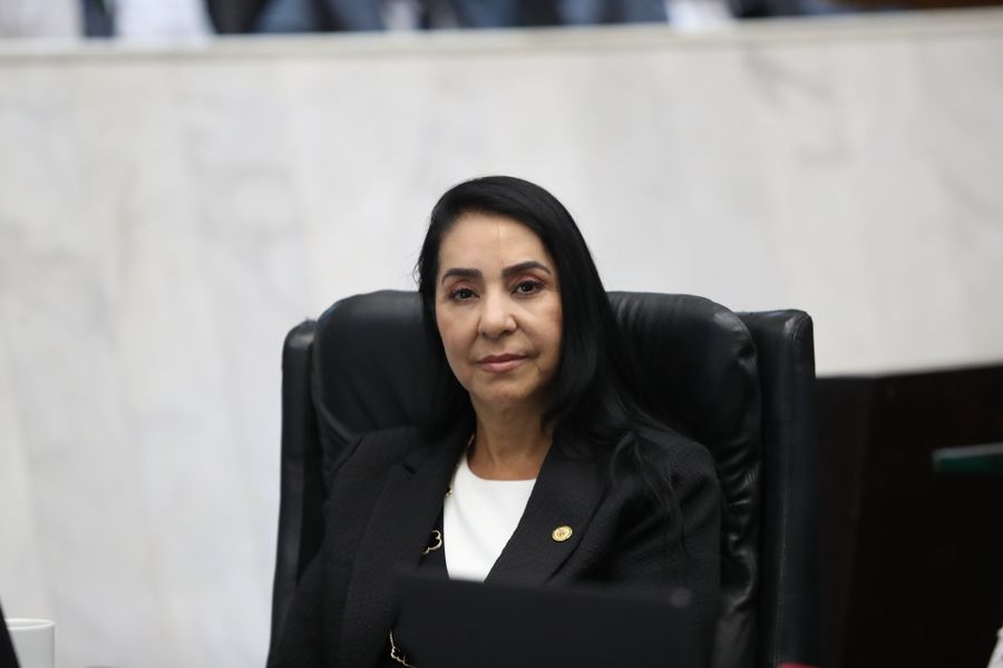 mara lima projeto