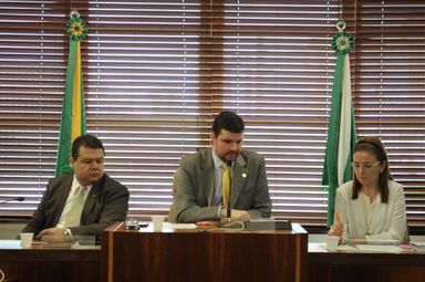 Regimento Interno deve disciplinar com mais objetividade o trabalho das comissões da Assembleia