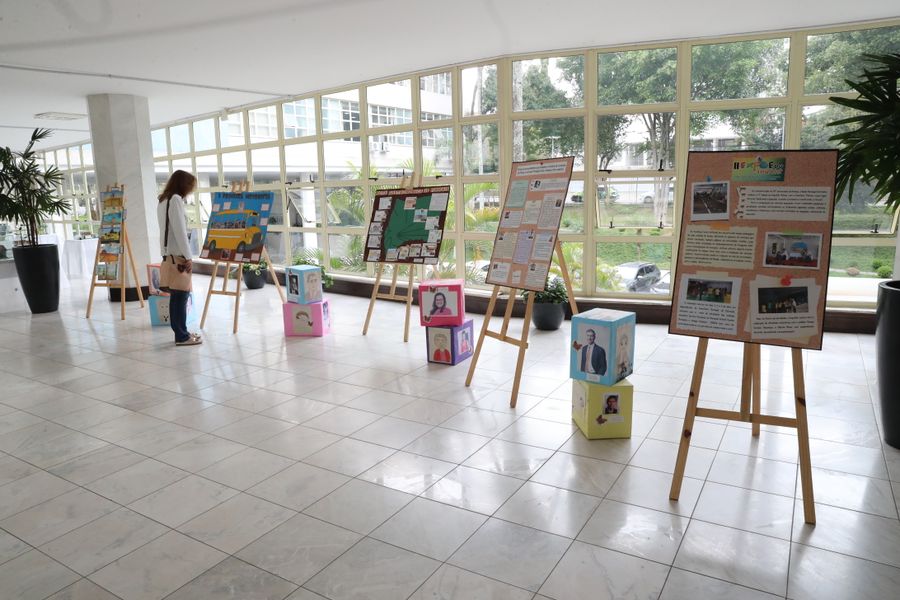 exposição pinhais
