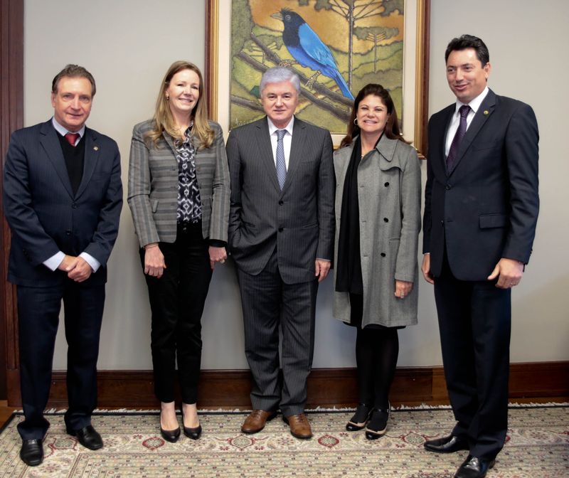 Da esquerda para a direita, deputado Ademir Bier (PMDB), senadora Vanessa Grazziotin (PCdoB-AM), deputado Rossoni (PSDB),  Virgínia Alves, diretora-ad