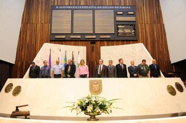 Centenário do Escotismo no Paraná é comemorado durante sessão solene na Assembleia Legislativa
