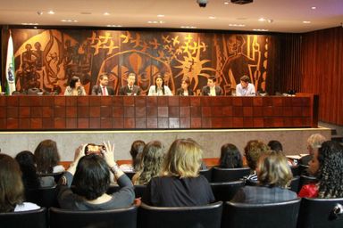 Assembleia Legislativa discute processo de adoção tardia em audiência pública