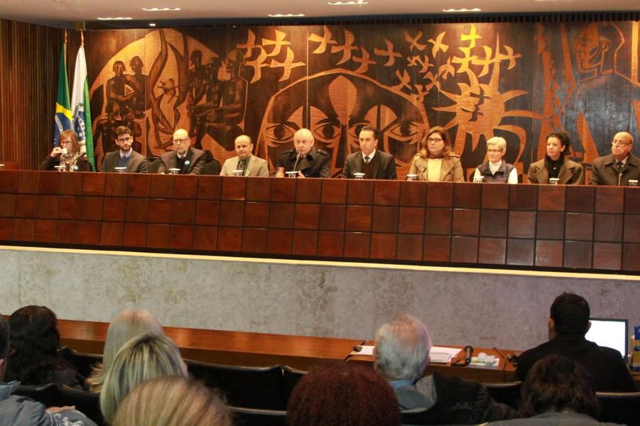 Audiência Pública - Acidente com Idosos
