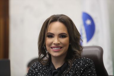 Governador sanciona lei que cria o Roteiro Turístico da Imigração Japonesa no Paraná