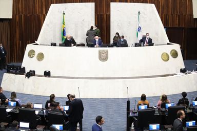 Projeto que cria a Lei de Incentivo à Cultura do Bambu é aprovado em primeiro turno