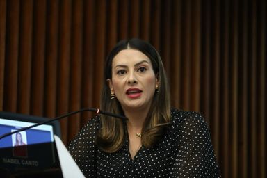 Deputada Mabel Canto (PSDB) cobra soluções urgentes na PR-151 após tragédia que vitimou jovens