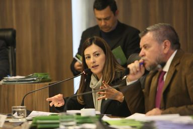 CCJ aprova pareceres a projetos que tratam de políticas públicas para mulheres