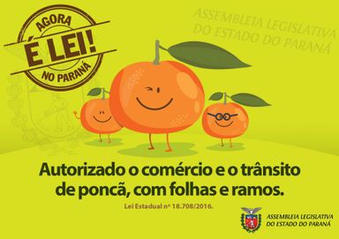 Lei autoriza o comércio e trânsito de poncã com folhas e ramos em outras regiões do país