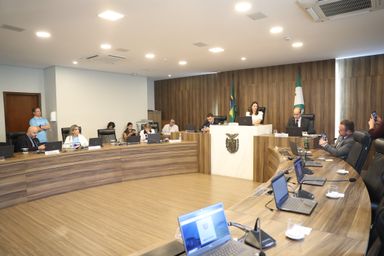 Comissão Especial aprova projeto que cria Código Estadual da Pessoa com autismo