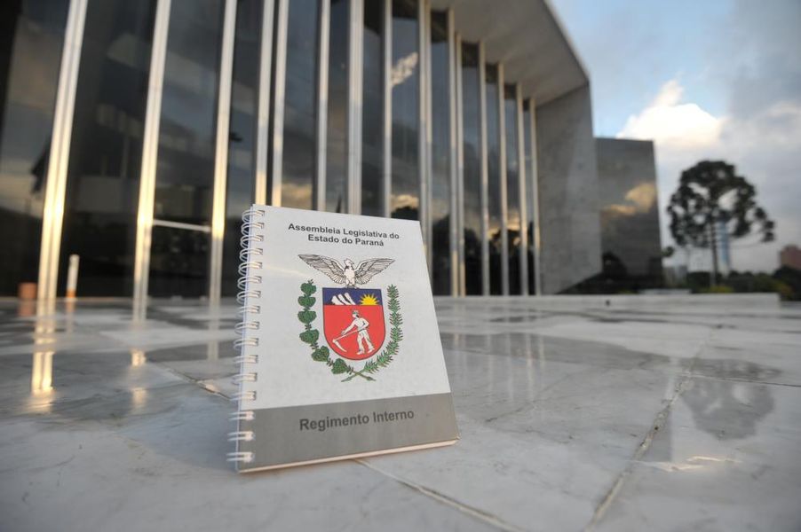 Revisão do Regimento Interno.