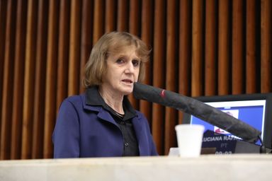 Deputada Luciana defende duplicação da PR-566 para evitar acidentes