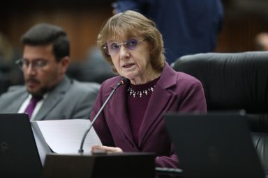 Deputada Luciana Rafagnin (PT) denuncia aumento da violência contra crianças e cobra fortalecimento da rede de proteção