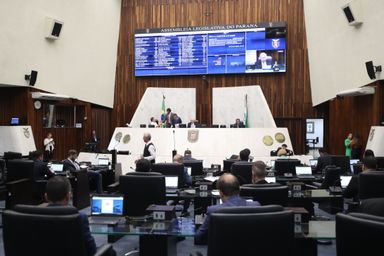 Aprovado projeto que cria Campanha Maria da Penha vai à Escola