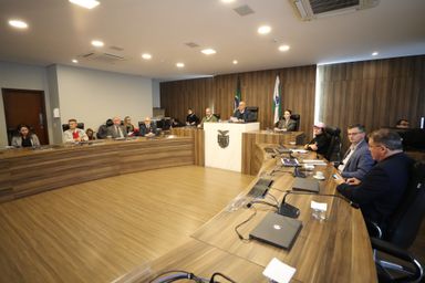 Assembleia Legislativa debate políticas e caminhos para garantir uma transição ecológica justa no Paraná rumo à COP30