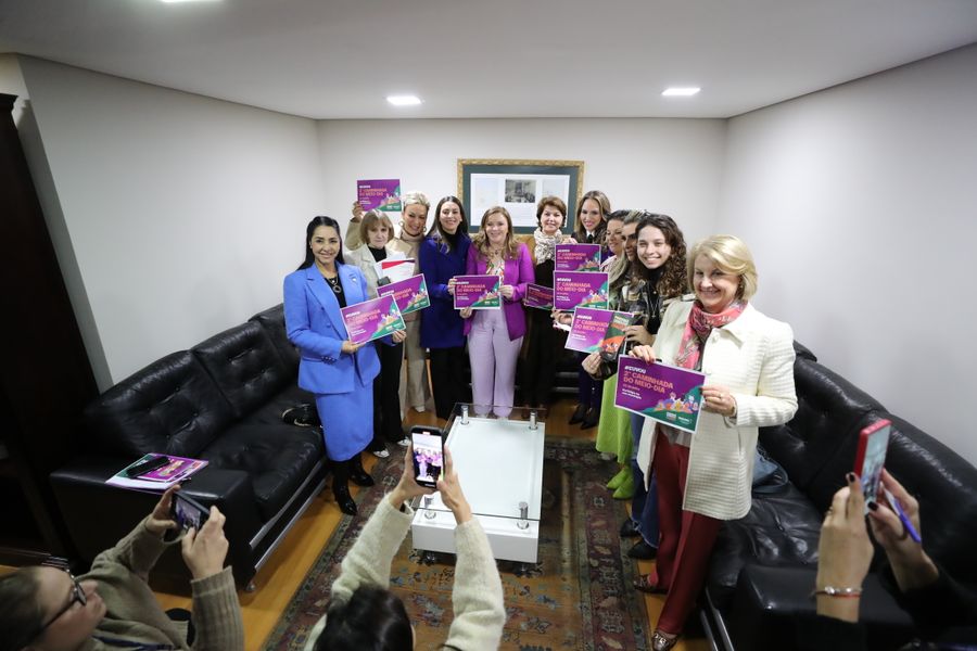 bancada feminina 02072024