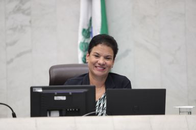 Projeto de lei da Deputada Marli Paulino (SD) institui a Semana Estadual do Artesanato no Paraná