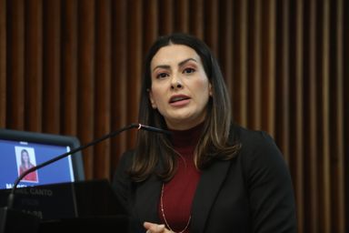 Deputada Mabel Canto (PSDB) cobra ação do DNIT sobre alagamentos no arroio da Ronda na BR-376