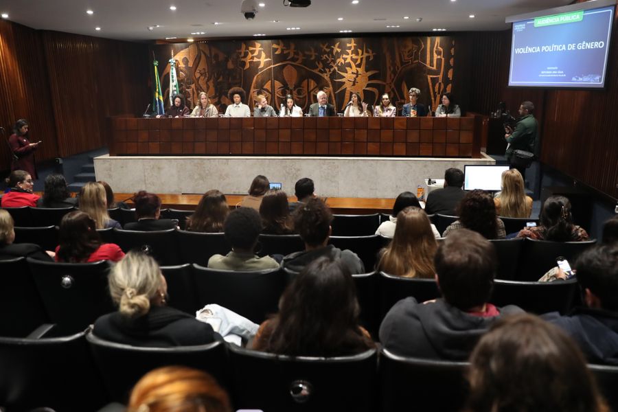 aud pub violencia genero politica