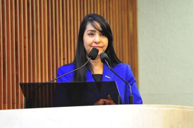 Campanha do Agosto Azul é lançada oficialmente na Assembleia Legislativa