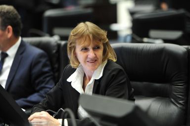 Luciana reivindica a construção do trevo de acesso ao campus da UFFS