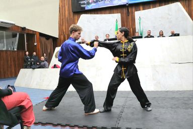 Assembleia realiza 2ª homenagem aos mestres, atletas e gestores que difundem o kung fu no Paraná