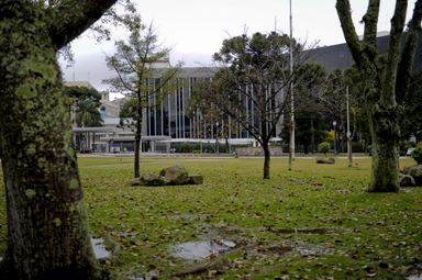 Assembleia vota projeto para assegurar acompanhamento imediato a recém-nascidos com deficiência múltipla