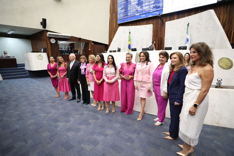 comissão da mulher 12 anos
