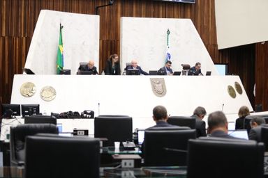 Assembleia aprova proibição de corrida de cães em todo o Paraná